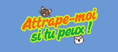 Photo de Attrape-moi si tu peux !